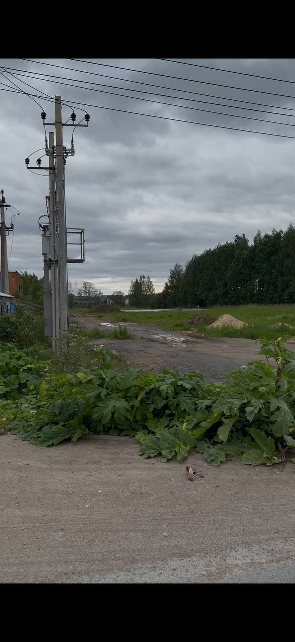 Фото земельного участка по адресу Ленинградская обл, Всеволожский р-н, деревня Скотное, д 2